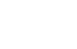 Logo Marius Guidotti